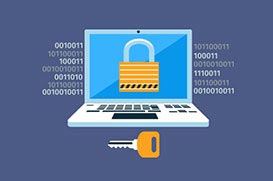 Cyber & IT Security Practitioner